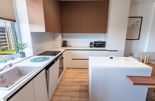 Tractorul Apartment | Modern Apartment with Mountain View & Balcony by Blvd