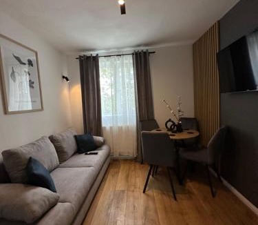 Zalau Apartment | Modern Cozy Apartment Zalau
