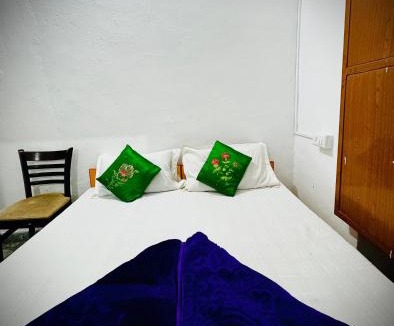 Udaipur City Centre Hostel | Mohan Villa Guest House