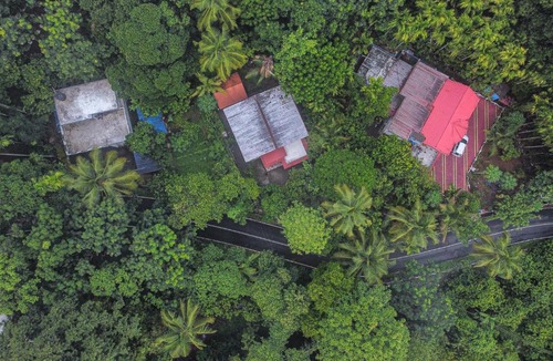 Devikolam House | Moss Perch - An immersive rainforest experiential stay