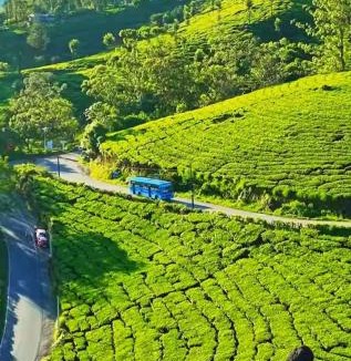Chithirapuram House | Mount Teena