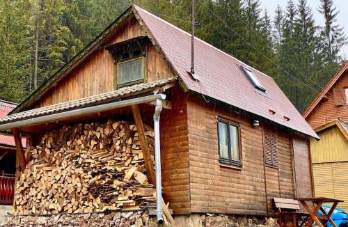 Lacu Rosu Ski Chalet | Mountain View Tiny House