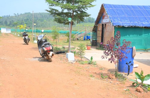 Ninnimamidi Hotel | MSN Bamboo Resort Araku