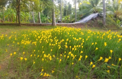 Anaimalai House | Mullai Farms