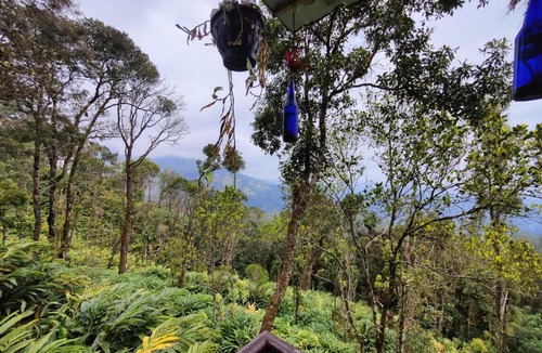 Devikolam Villa | Munnar TeaDrops Plantation Villa