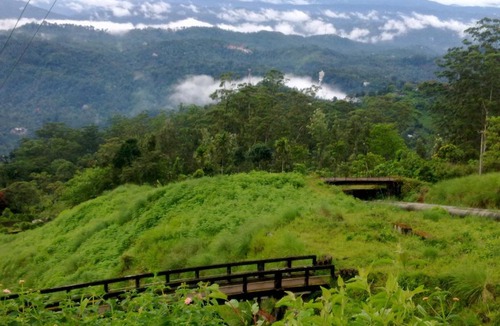 Devikolam Villa | Munnar TeaDrops Plantation Villa