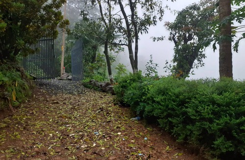 Pala Cottage | My Home, a peaceful place for Stay.
