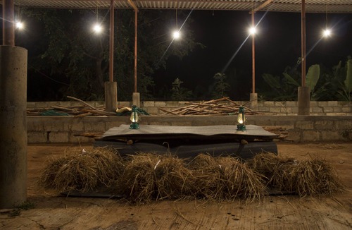 Belakavadi House | Nandana Organics farm