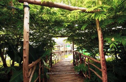 Kanakapura RV Rental | Nature Adventure Camp, Kanakapura #6