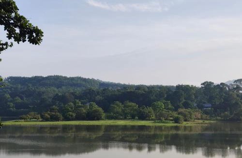 Todupulai House | Nature light homestay