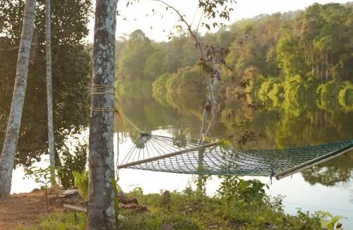 Devikolam House | Nature's nest