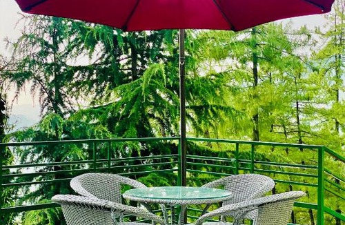 Shimla Hotel | Nature Valley Resort Mashobra - A Peacefull stay with balcony