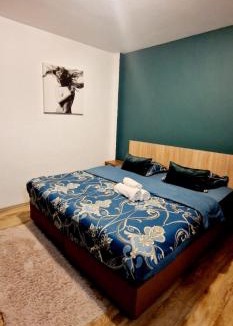 Iasi Apartment | Near Airport Apartment