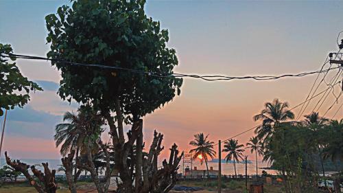 Bogmolo House | Nelis Guest House