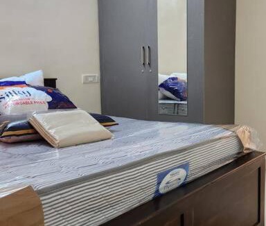 Palm Meadows Apartment | New 1 BHK in Whitefield #101