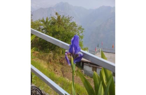 Gobind Dham House | Nk brothers,Joshimath