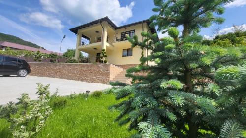 Calimanesti House | Noblesse Caciulata