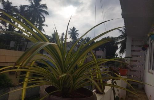 Coimbatore Apartment | Nomad