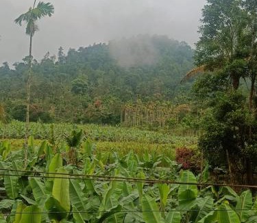 Vythiri Villa | Nostalgia Homestay