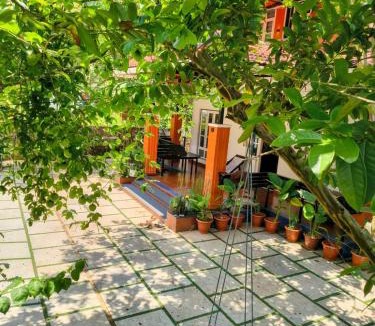 Vythiri Villa | Nostalgia Homestay