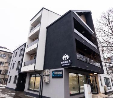 Bistrita Apartment | Nubia Central Apartments