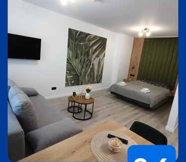 Cluj-Napoca Apartment | NXN Airportstay