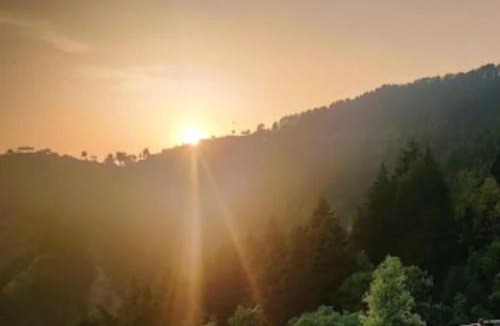 Mussoorie House | Oaks view