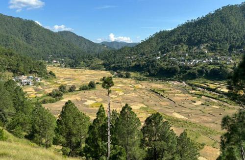 Majkhali House | Odyssey Stays Kausani