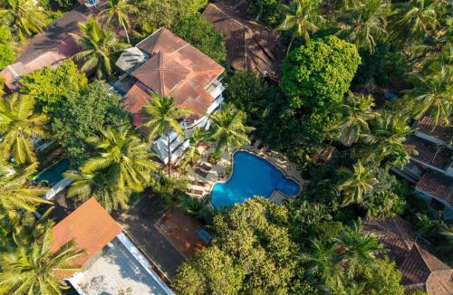 Baga Resort | Olive Hotel Alidia Beach Resort by Embassy Group