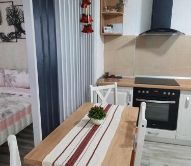 Sibiu Apartment | Olivia's Home
