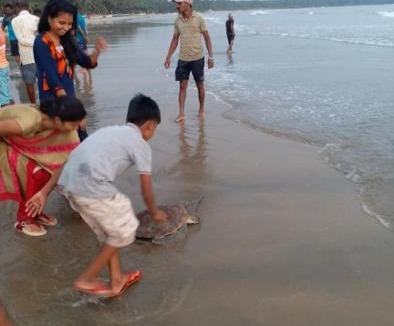 Devbag House | Om Atharva Beach Homestay Malvan