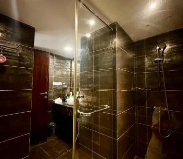 Andheri Hotel | Om metro chandrakunj