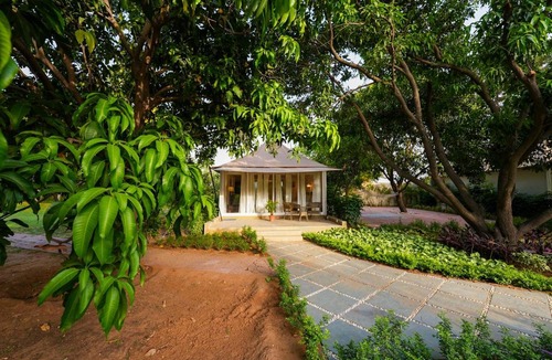 Taoru House | Orchard At Sarai - Luxury Tent Villas, Swimming Pool, Large lawns, & Pet friendly