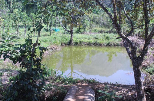 Devikolam House | Orchid Homestay