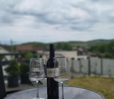 Bistrita Apartment | Origo Residence - Terrace & Private Parking