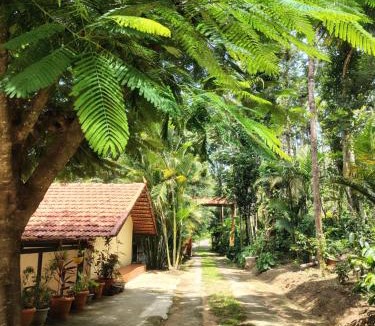 Vastare House | Outbackwoods homestay room Robusta