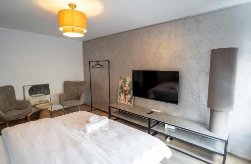 Ocna Mures Apartment | Ovideli Apartment