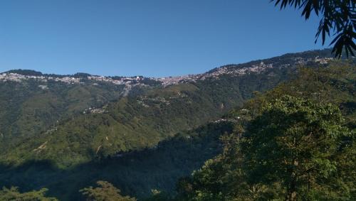 Darjeeling House | Padma Homestay