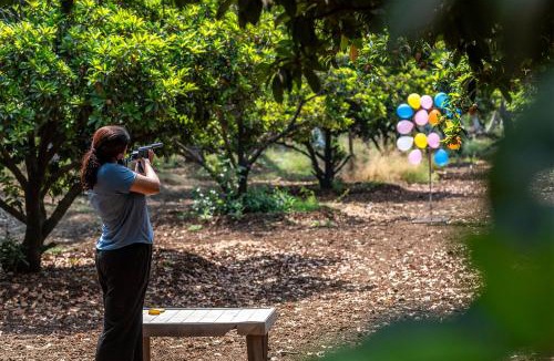 Paud Resort | Palmwoods Retreat