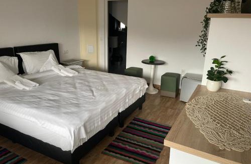 Cimpeni Hotel | Panna Gusto Guest Rooms