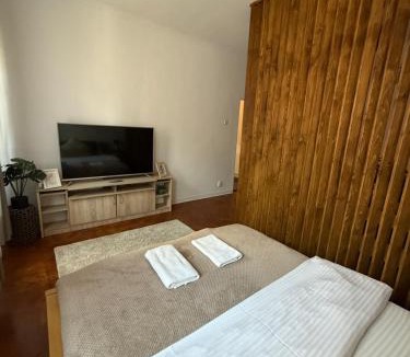 Brasov City Centre Apartment | Panoramic Apartment Braşov