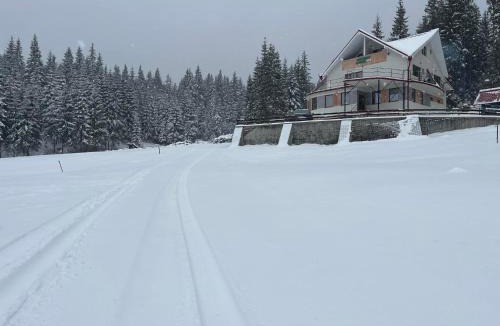 Margau House | Panoramic Apuseni Doda Pilii