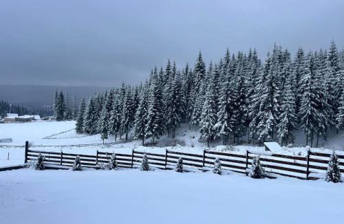 Margau House | Panoramic Apuseni Doda Pilii