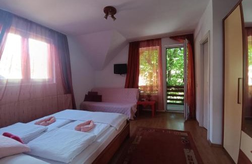 Sovata House | Pasager House