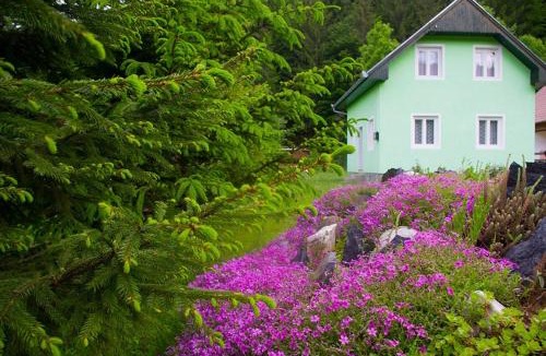 Izvoare House | Pataki Kulcsosház