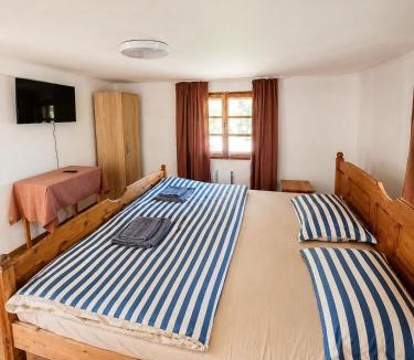 Gura Humorului House | PENSIUNEA BOCA VORONET