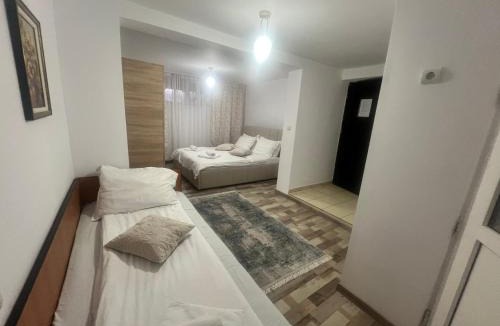 Horezu House | Pensiunea Broscuta
