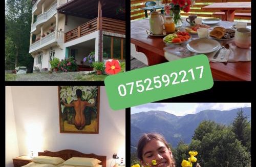 Borsa House | Pensiunea Casa Bradet