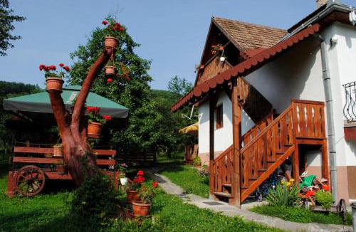 Stremt House | Pensiunea Casa Butnarului
