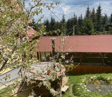 Baisoara House | Pensiunea Casa OLLY